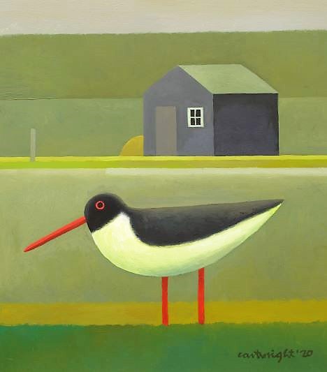 painting of a oystercatcher by reg cartwright