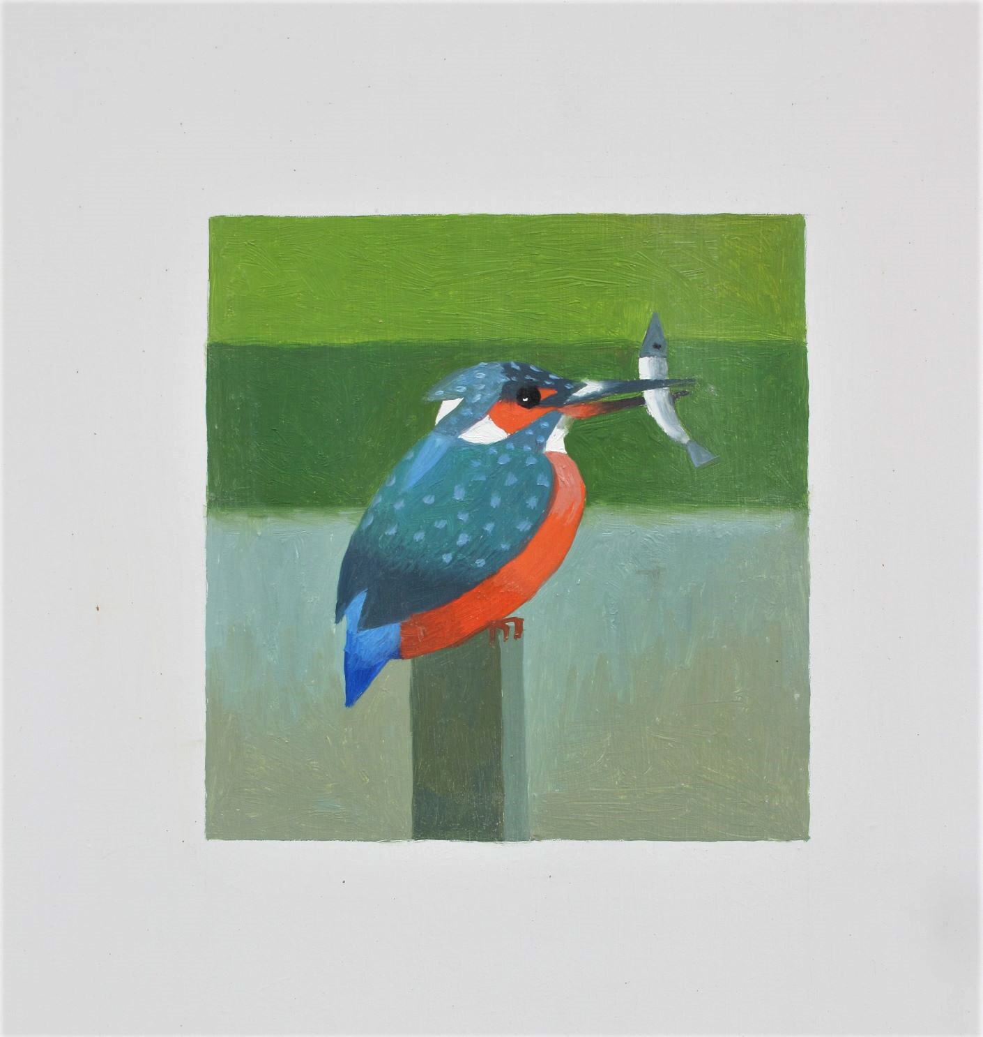 kingfisher by reg cartwright 2022